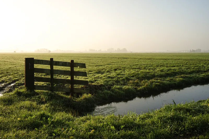 Wooden farm gate beside a drainage canal in a misty green pasture at sunrise