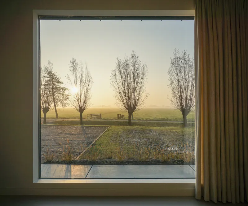 Framed window view of four pollarded trees standing in a frosty field at dawn