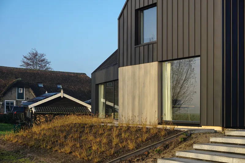 Corner detail showing dark metal cladding meeting light timber panels with planted beds in warm sunlight