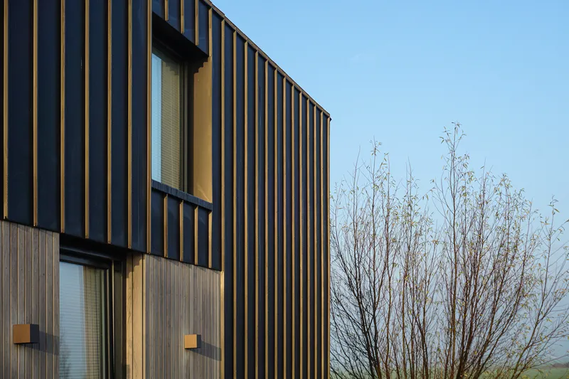 Vertical timber and metal cladding facade with stacked windows beside a bare branched tree