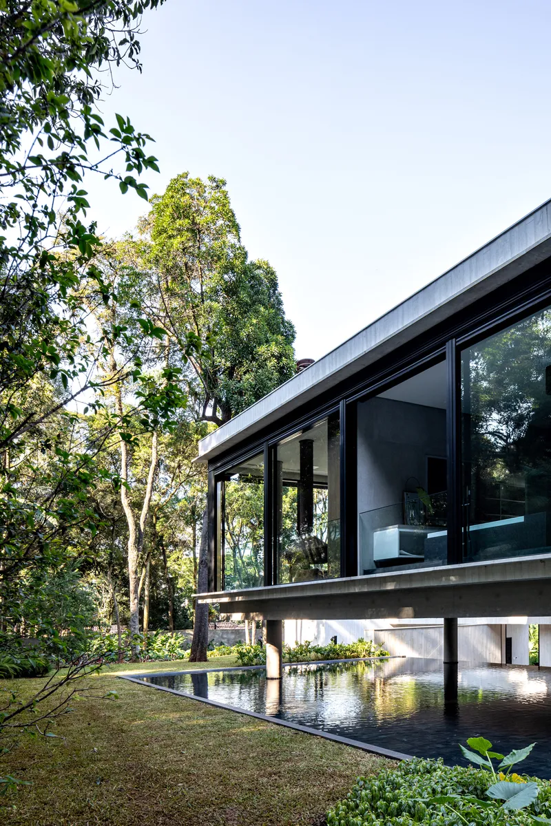 Glass-walled upper volume on piloti above a reflecting pool with water plants and surrounding forest