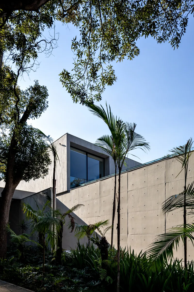 Board-formed concrete wall rising behind palm trees and tropical plantings under a clear blue sky