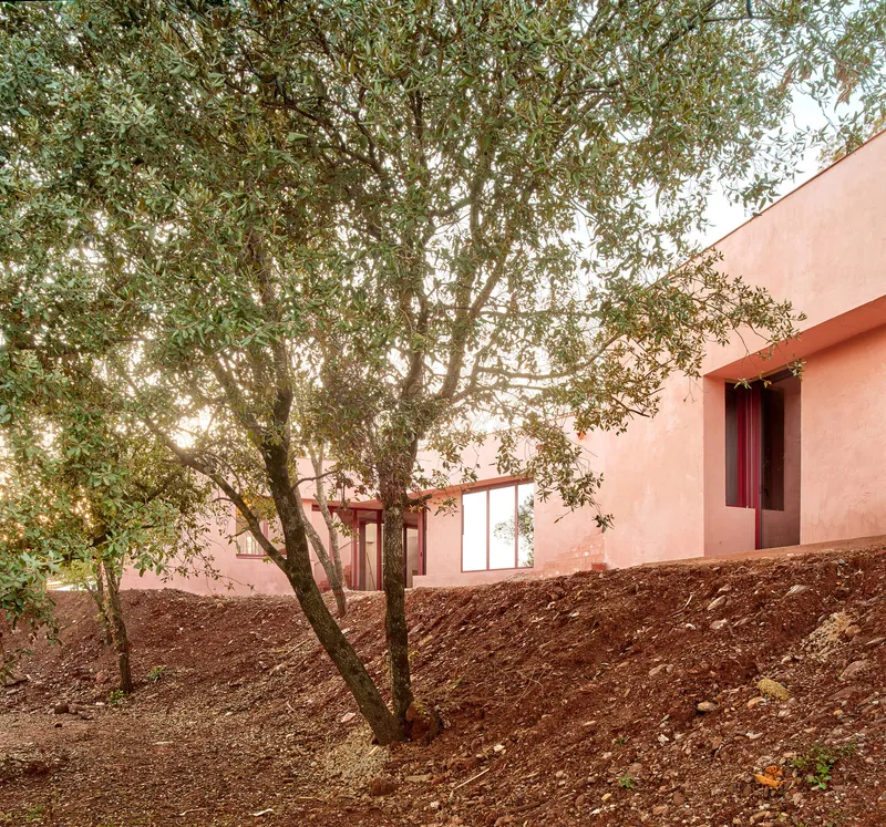 Exterior view with olive tree in red gravel garden next to plastered pink volume