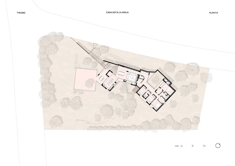 Site plan drawing showing angled building footprint surrounded by tree canopies on sloping terrain