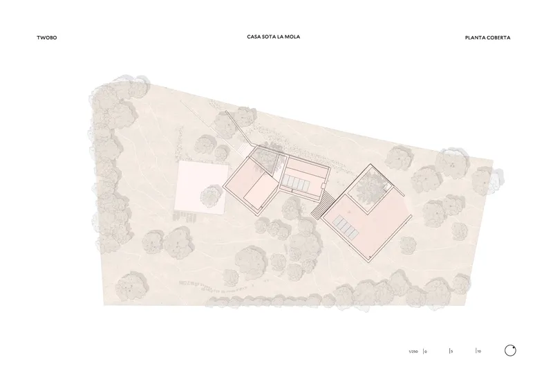 Roof plan drawing showing three volumes arranged diagonally across the landscaped site