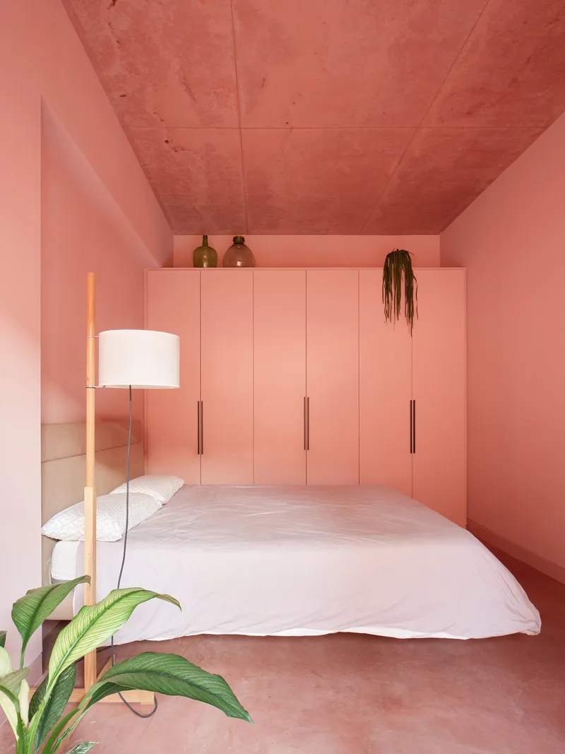 Compact bedroom with pink terrazzo ceiling, built-in wardrobes, and potted plant in foreground