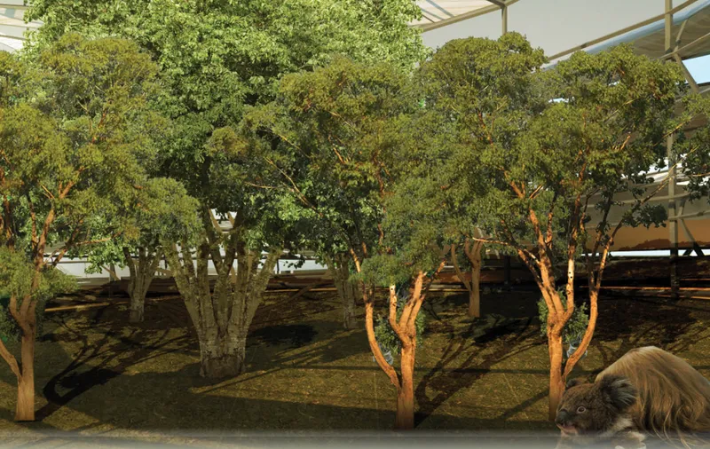 Native forest environment designed to support koala recovery through immersive ecological and wildlife-centered architecture.