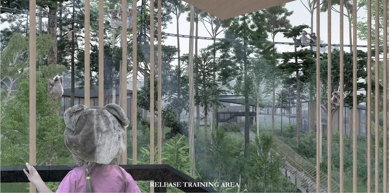 Release training enclosure designed to prepare rehabilitated koalas for successful reintroduction into the wild.