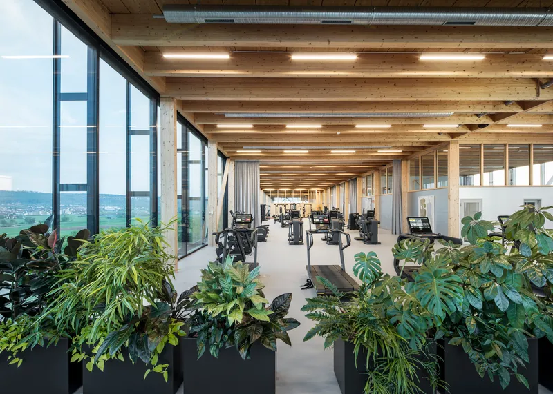 Fitness area with planters in the foreground beneath timber beams and curtain wall glazing