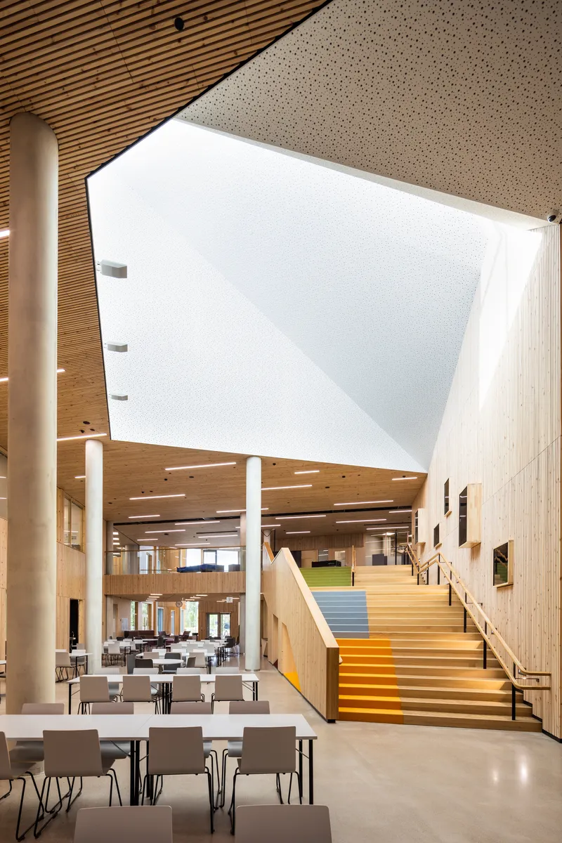 Central atrium with timber staircase and slatted ceiling below an angled white skylight opening