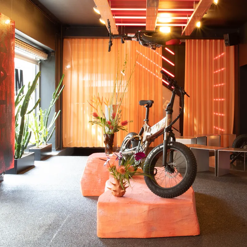 Interior space with bicycle suspended over orange foam blocks and cacti near translucent curtain in daylight