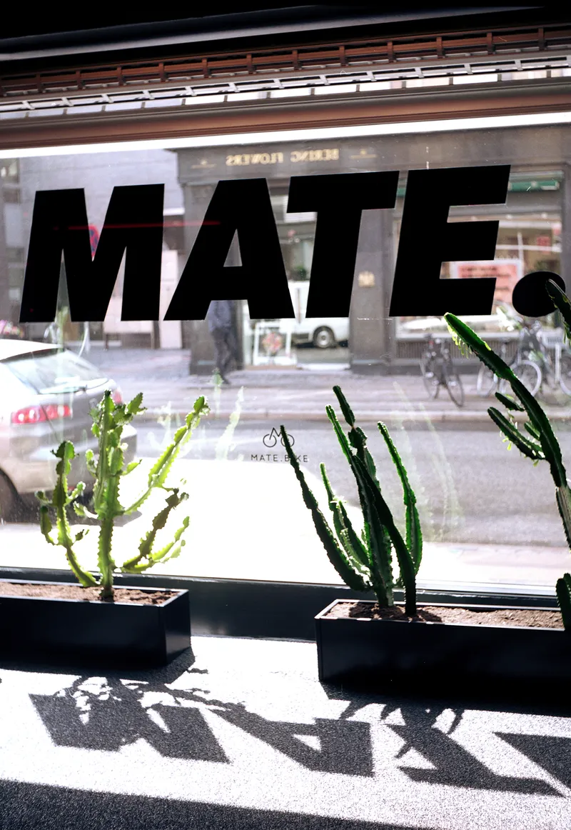 Storefront window with reverse lettering and potted cacti casting sharp shadows on the floor