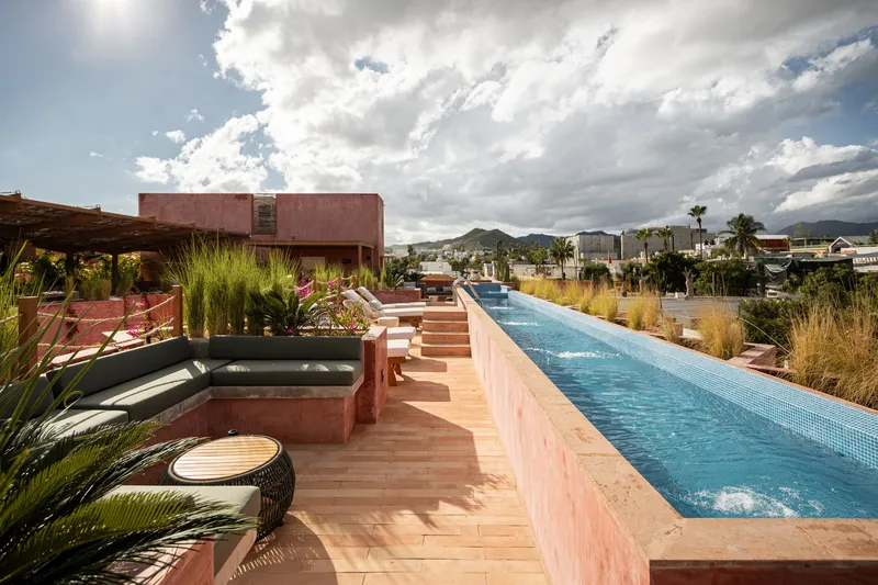 Rooftop terrace with a lap pool, planted beds, timber decking and mountains under cloudy skies