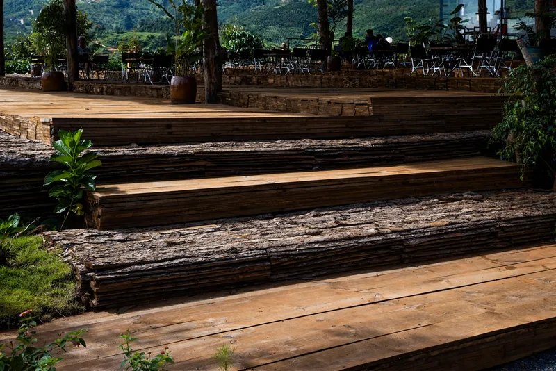 Timber steps with rough-hewn log risers and planted pockets ascending through dappled sunlight