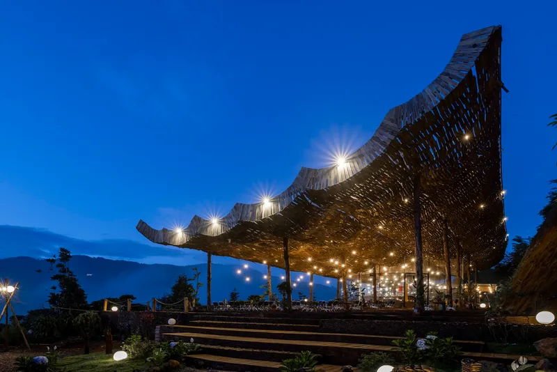 Woven timber canopy with undulating edge and integrated lighting above terraced timber seating at twilight