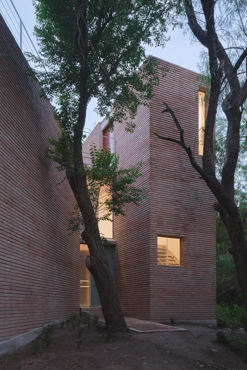 Horizontal timber-clad facade with angled window openings beside a mature tree at twilight