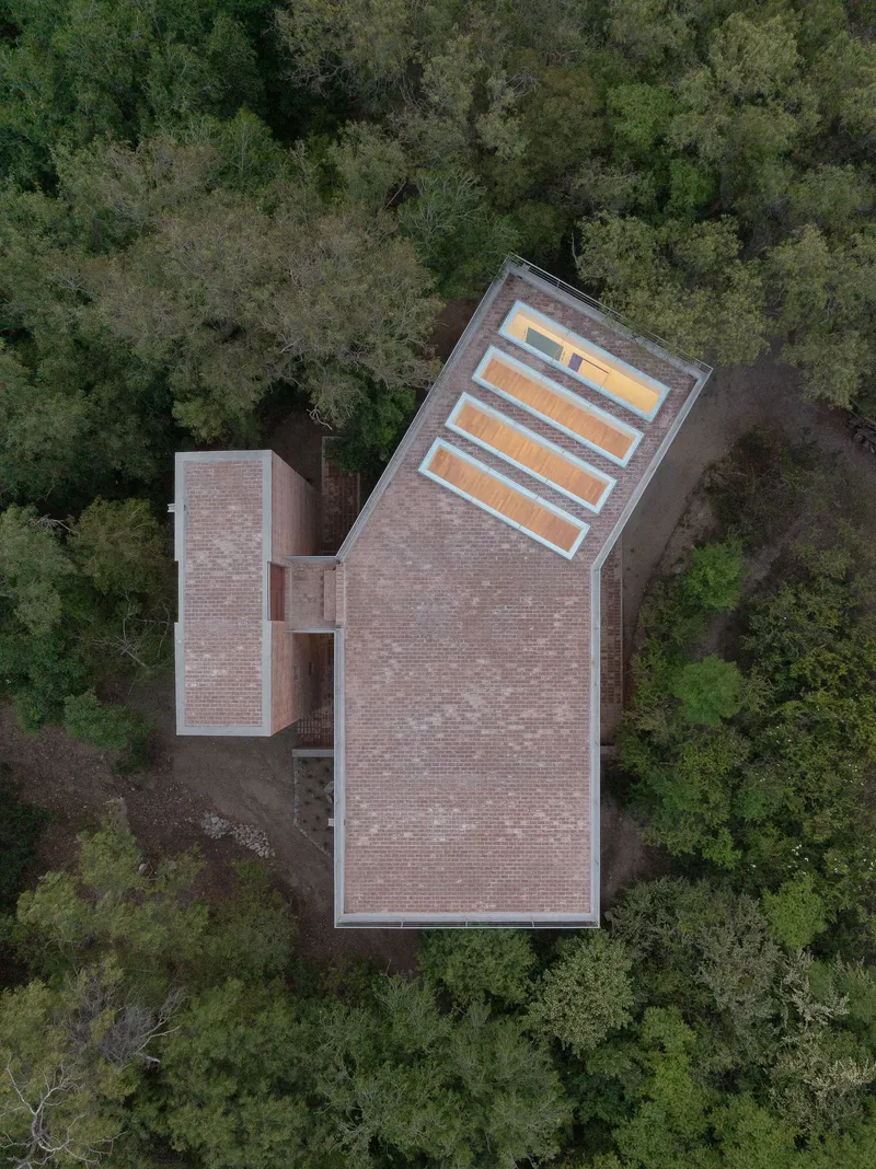 Aerial view of two brick-clad volumes with a slatted skylight nestled in dense tree canopy