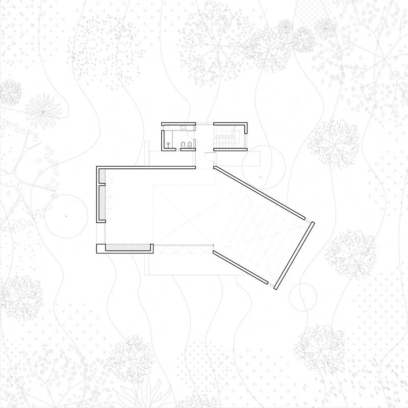 Ground floor plan drawing showing angled volume and two service boxes within landscape