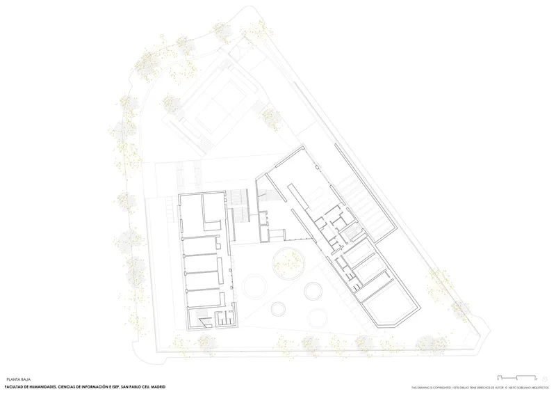 Ground floor plan drawing showing two angled volumes framing a triangular courtyard with circular features