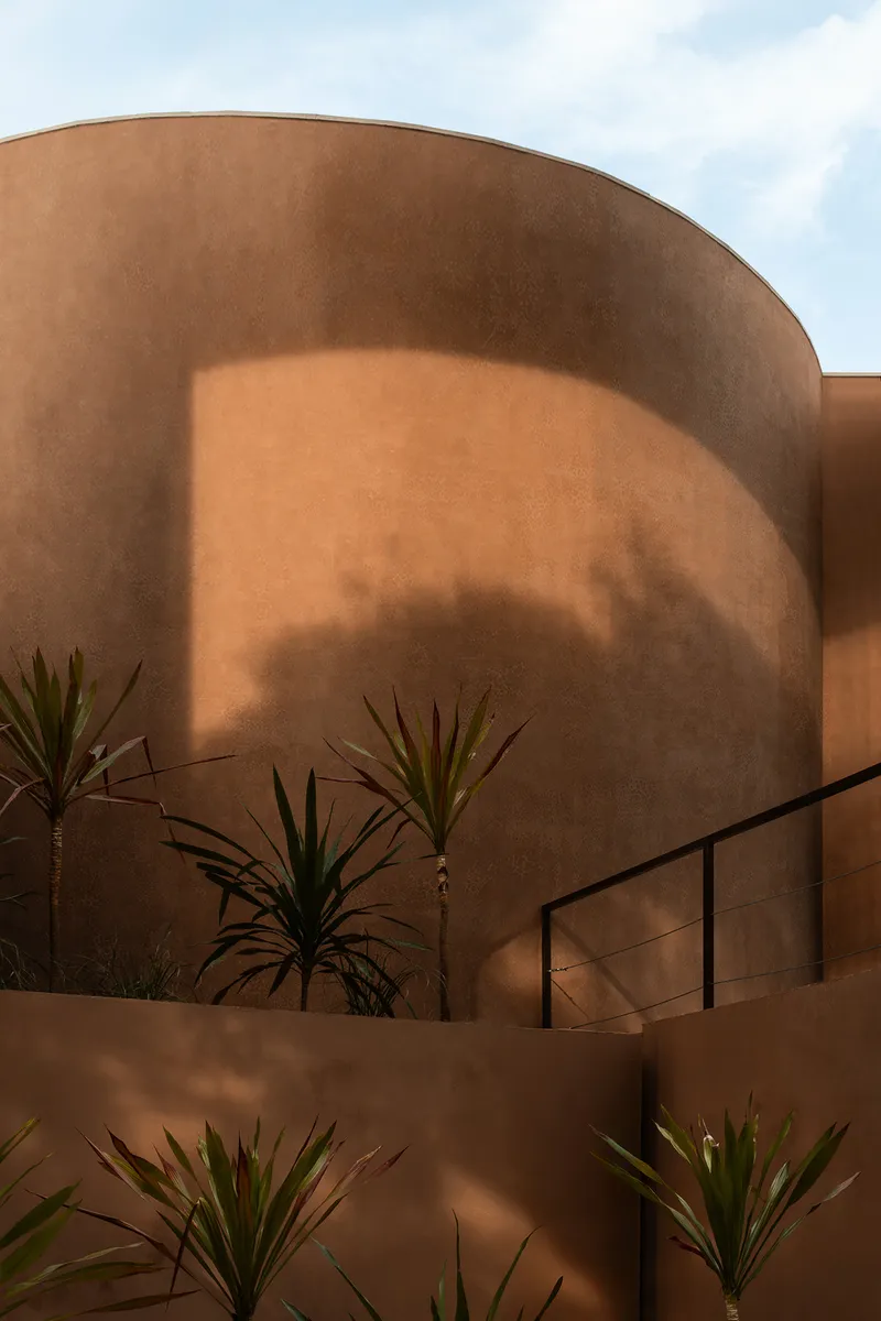 Curved earthen-toned stucco facade with planted beds of spiky palms in afternoon shadow