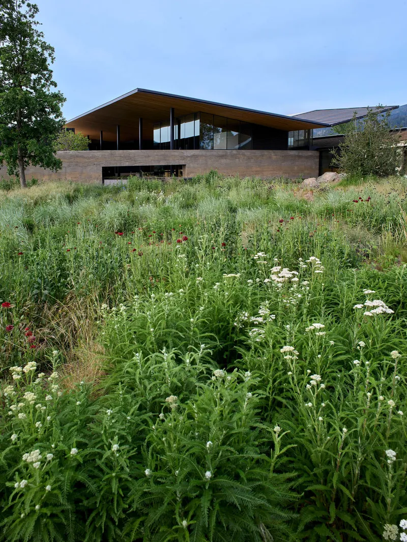 Timber and stone pavilion with cantilevered roof rising from meadow of wildflowers and grasses