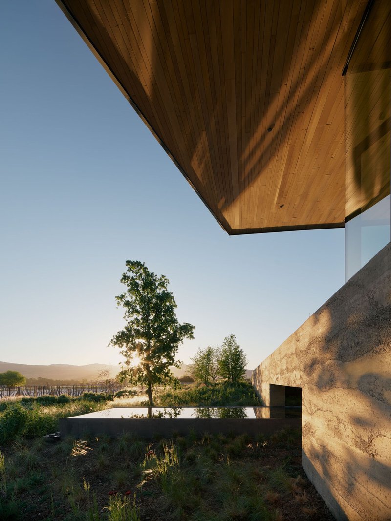 Underside of timber soffit and rammed earth wall with raised planter and tree at sunset