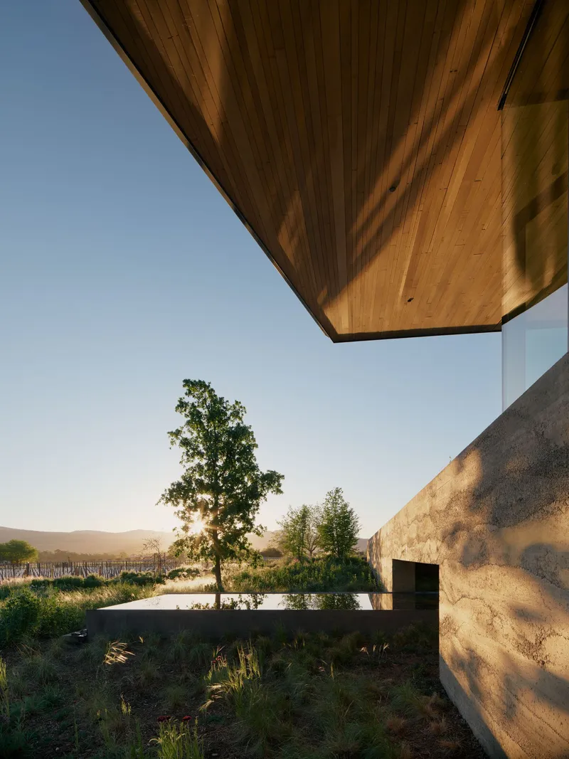 Underside of timber soffit and rammed earth wall with raised planter and tree at sunset
