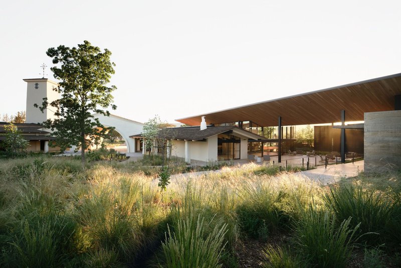 Overall view of the low pavilion with cantilevered timber roof across planted meadow in evening light