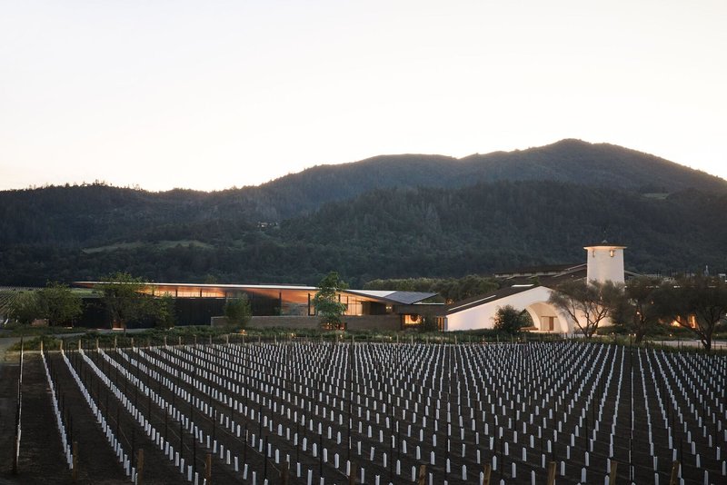 Building complex with arched volume and bell tower at dusk beyond rows of young vineyard vines