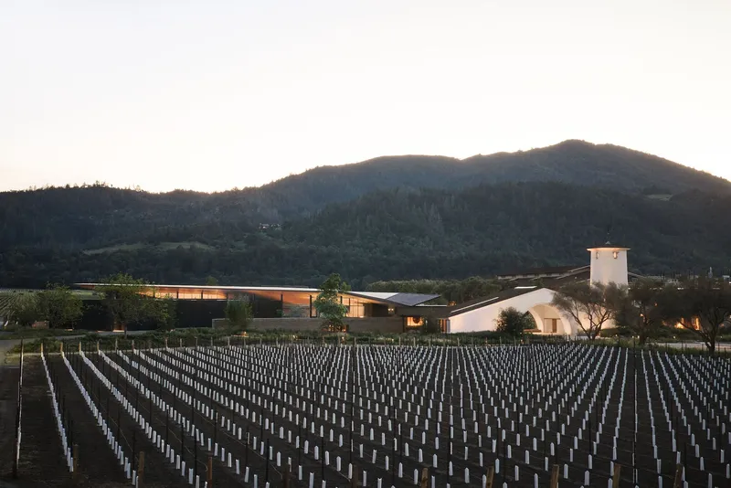 Building complex with arched volume and bell tower at dusk beyond rows of young vineyard vines