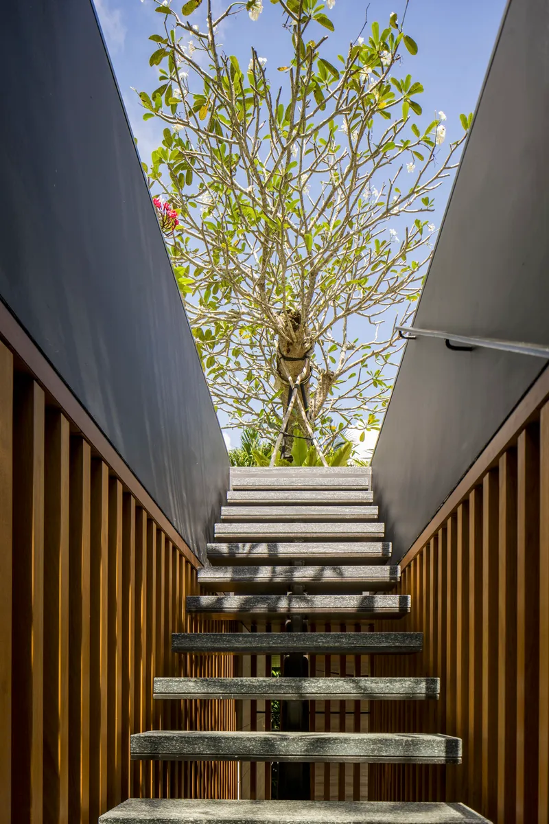 Outdoor staircase with concrete treads rising between timber screens toward a tree and blue sky