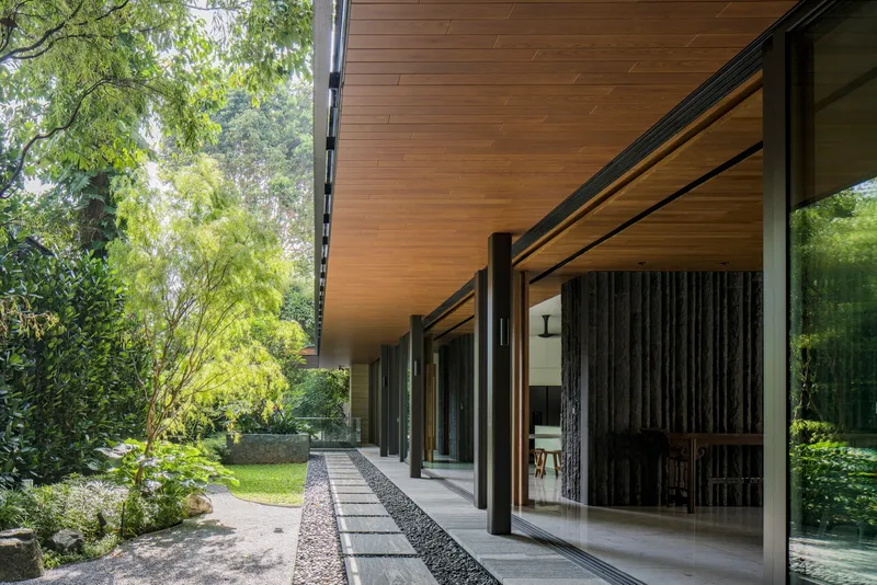 Deep overhang with timber ceiling sheltering a glazed corridor and garden with bamboo and lawn