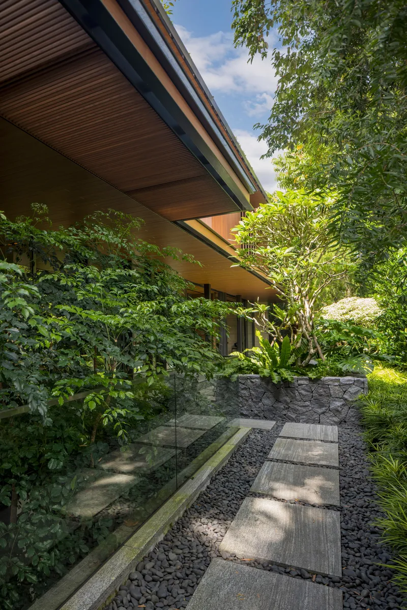 Stepping stone path in gravel below a timber soffit with layered garden planting and sunlight