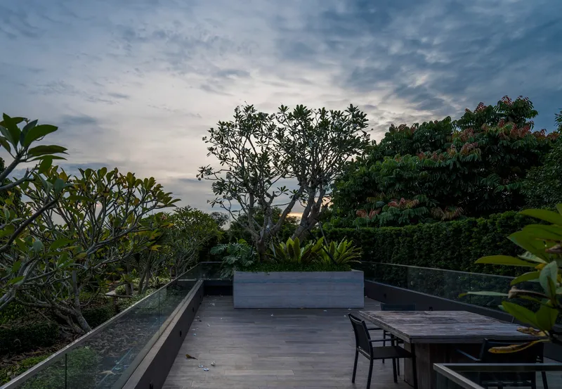 Rooftop timber deck with dining table and planter boxes framed by frangipani trees at dusk