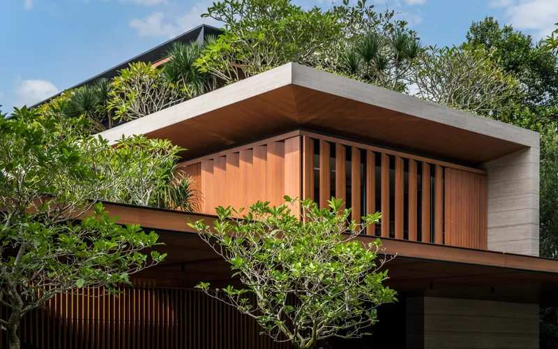 Cantilevered concrete roof overhang with timber slat screen and weathered frangipani tree in foreground