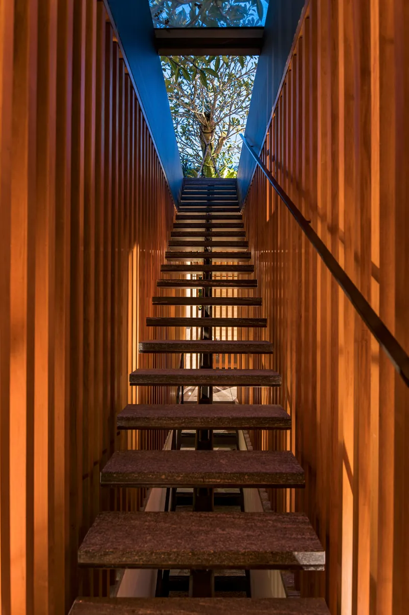 Open-tread staircase rising through vertical timber slat walls toward a skylight and tree canopy