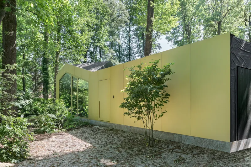 Yellow-paneled facade with entry door and young sapling against a concrete base in filtered forest light