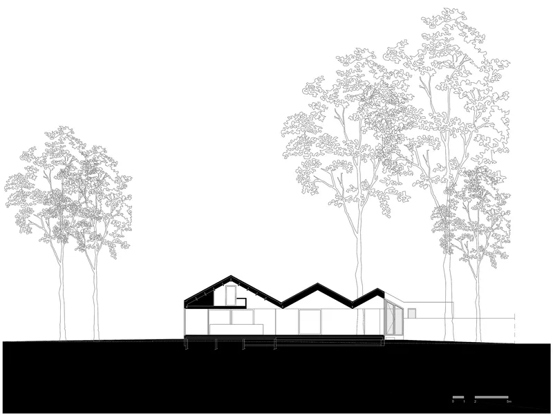 Section drawing revealing interior spaces beneath zigzagging rooflines with trees flanking the structure