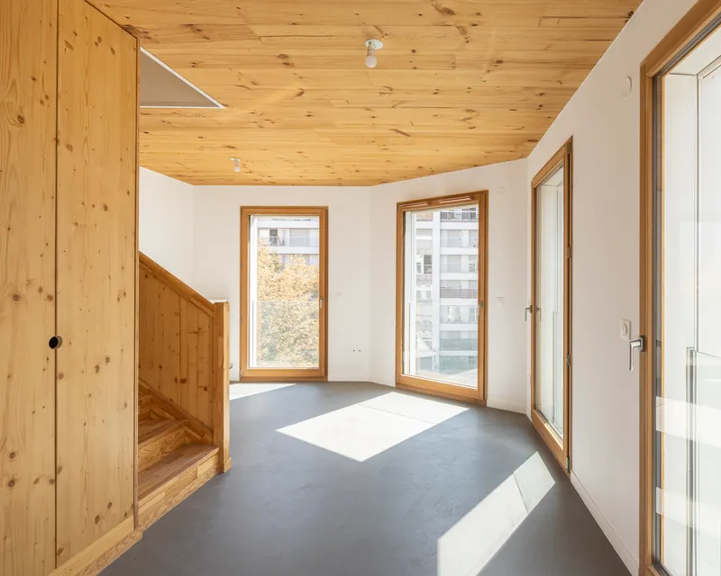 Interior room with timber-paneled ceiling, grey flooring and two windows casting sunlight across the space