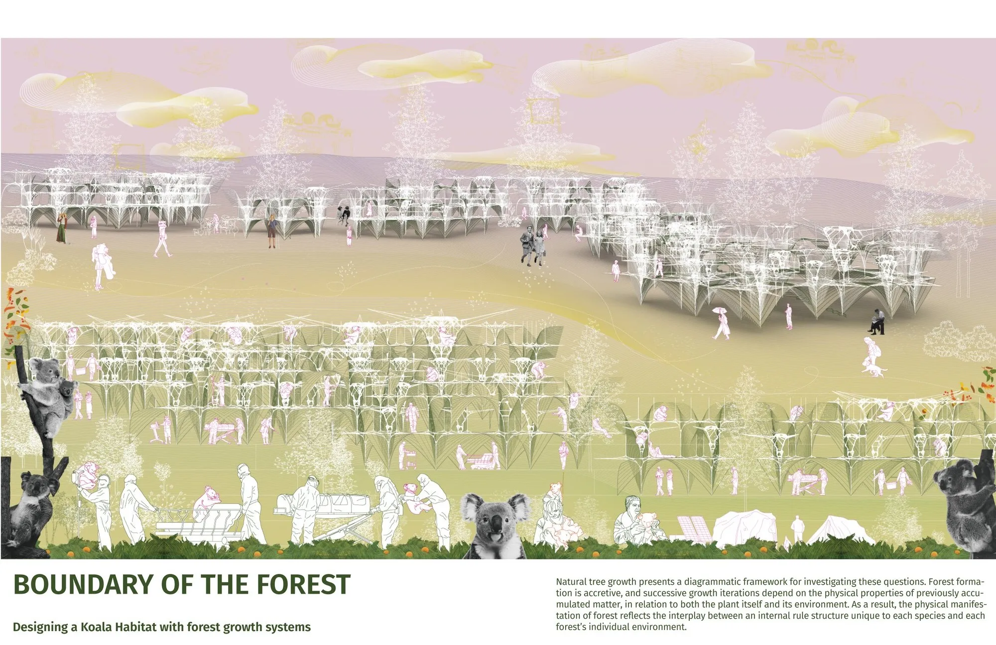 Boundary of Forest: A Biophilic Architecture Proposal for Koala Habitat Conservation