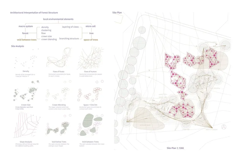 Forest systems translated into an adaptive architectural framework for koala rehabilitation and ecological coexistence.