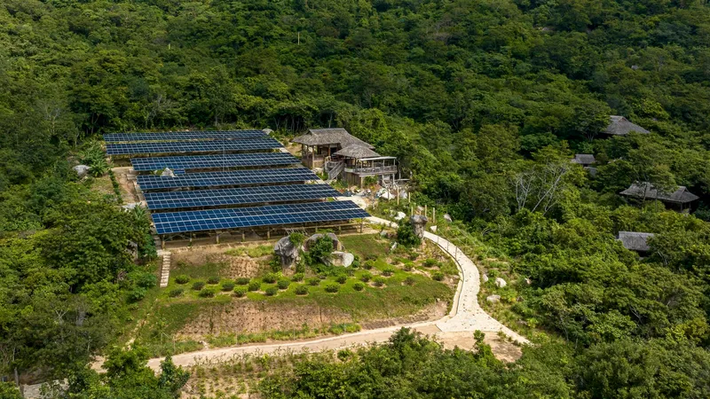 Aerial view of solar panel array and curving garden paths nestled in dense forest canopy