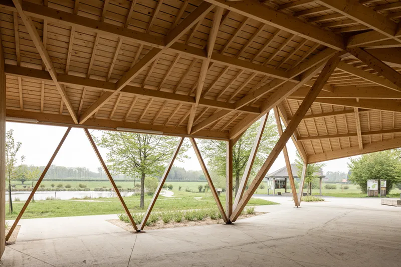 Interior perspective of the timber roof structure with diagonal columns framing views of the landscape