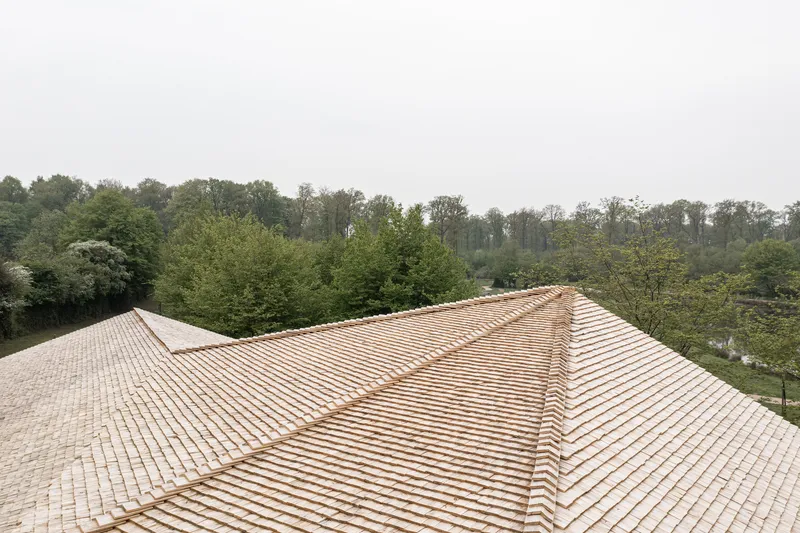 Rooftop view of intersecting wood shingle roof planes above a wooded tree line and pond
