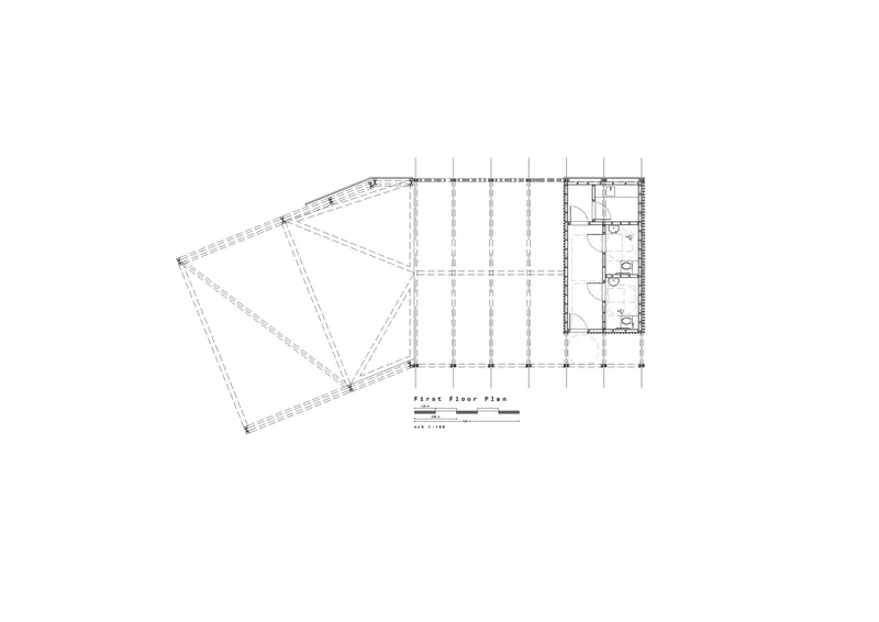 Floor plan drawing revealing angled roof structure with triangulated supports and service block