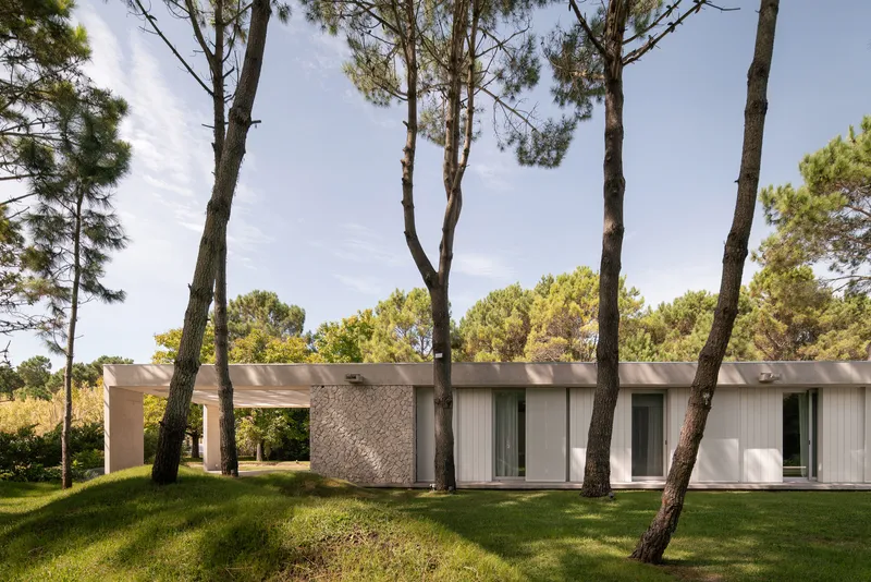 White rendered facade with vertical timber cladding and textured stone volume among pine trees