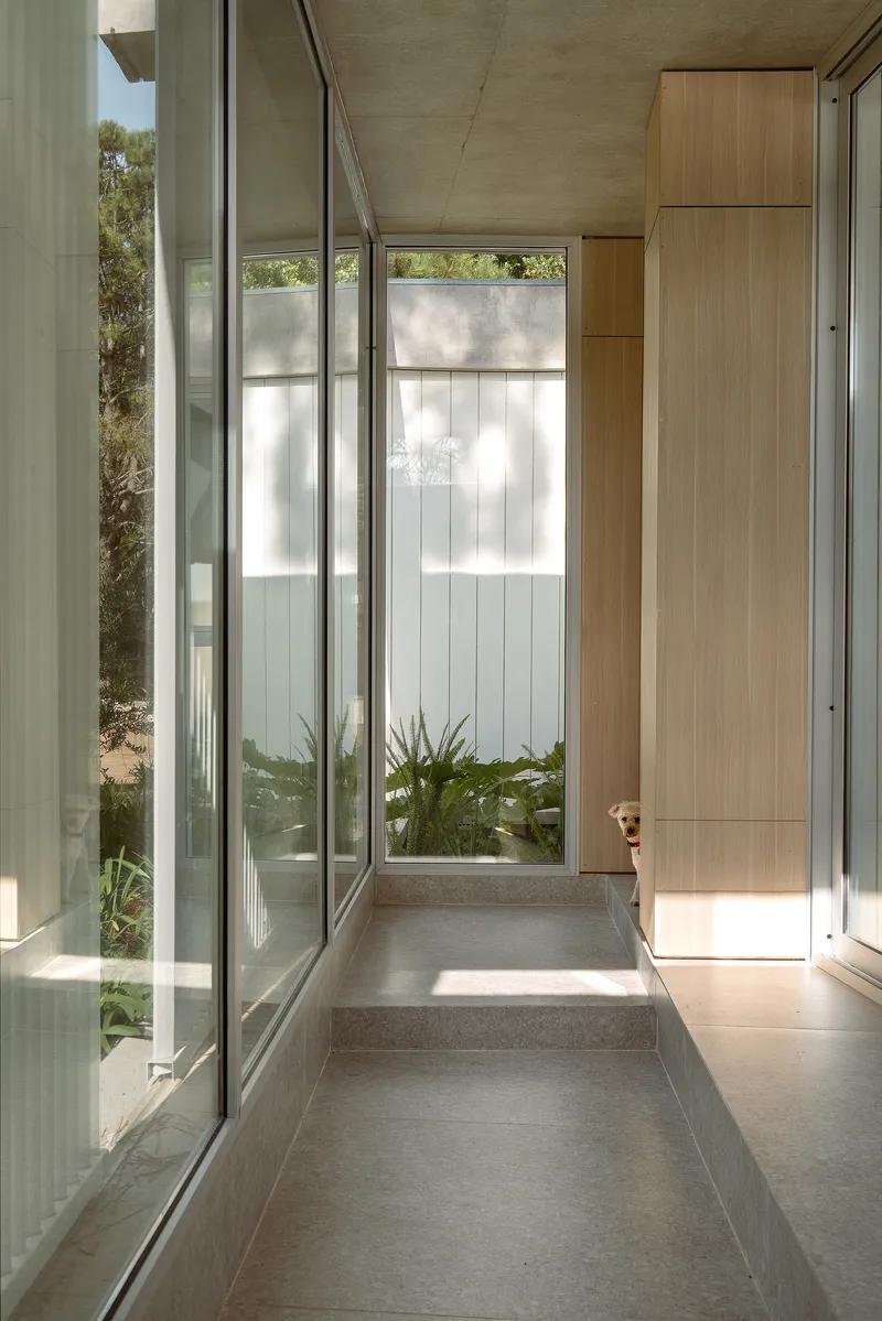 Hallway with floor-to-ceiling glass and concrete step leading to enclosed courtyard with white vertical paneling