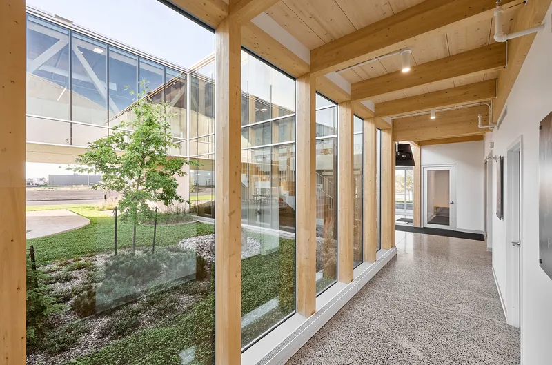 Corridor with exposed timber beams and full-height glazing overlooking an interior courtyard garden with young trees