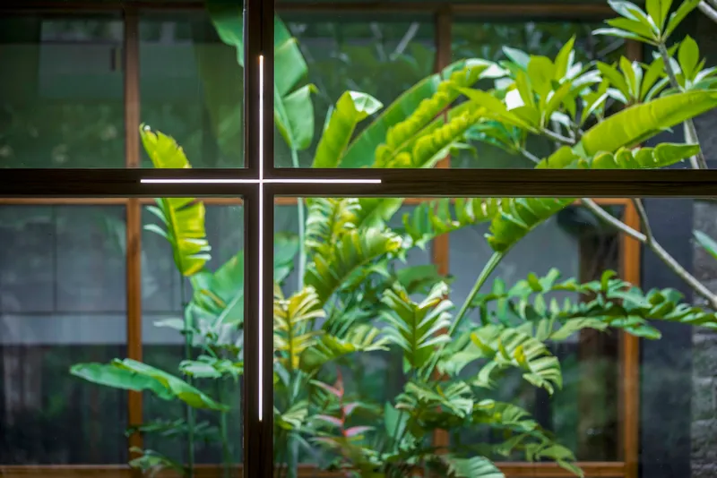 Close-up of steel window mullion cross with tropical foliage and timber frames behind