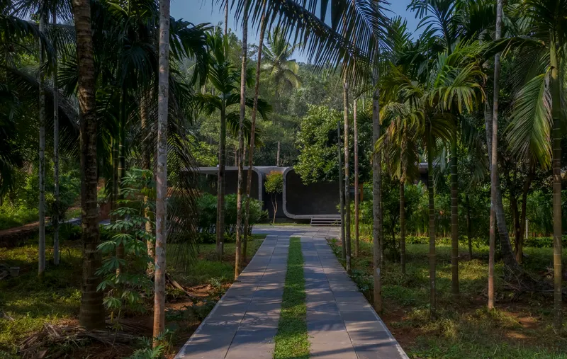 Stone paved walkway with grass strip running through rows of palm trees toward the residence